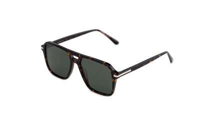 ARAMIS AR 2434 C1 55-17-150 Erkek Güneş Gözlüğü - 1