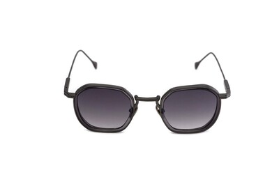 ARAMIS AR 2436 C2 46-25-145 Unısex Güneş Gözlüğü - 2