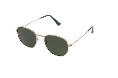 ARAMIS AR 2305 C03 51-22-140 Unısex Güneş Gözlüğü - 1