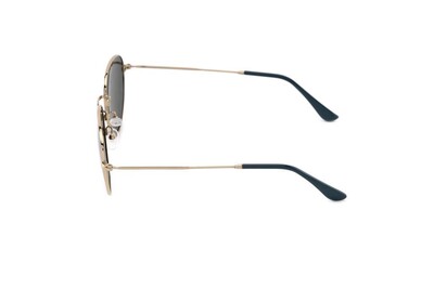ARAMIS AR 2306 C03 53-22-140 Unısex Güneş Gözlüğü - 3