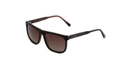 ARAMIS AR 2410 C03 59-17-145 Erkek Güneş Gözlüğü - 1