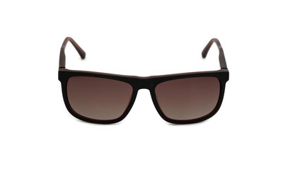 ARAMIS AR 2410 C03 59-17-145 Erkek Güneş Gözlüğü - 2