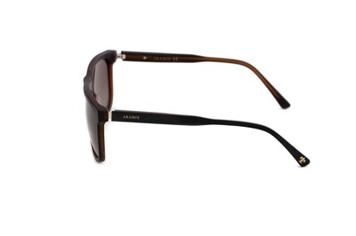 ARAMIS AR 2410 C03 59-17-145 Erkek Güneş Gözlüğü - 3