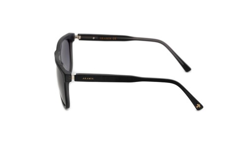 ARAMIS AR 2410 C04 59-17-145 Erkek Güneş Gözlüğü - 3