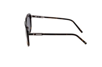 ARAMIS AR 2411 C04 61-13-145 Erkek Güneş Gözlüğü - 3
