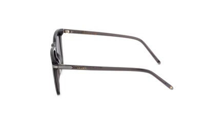 ARAMIS AR 2413 C02 56-20-145 Erkek Güneş Gözlüğü - 3