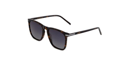 ARAMIS AR 2413 C04 56-20-145 Erkek Güneş Gözlüğü - 1
