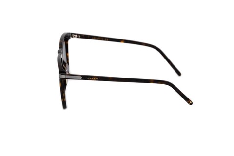 ARAMIS AR 2413 C04 56-20-145 Erkek Güneş Gözlüğü - 3