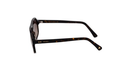 ARAMIS AR 2414 C02 58-14-148 Unısex Güneş Gözlüğü - 3
