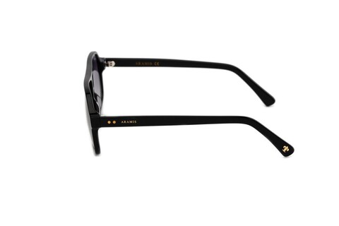 ARAMIS AR 2414 C03 58-14-148 Unısex Güneş Gözlüğü - 3