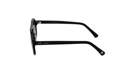 ARAMIS AR 2414 C03 58-14-148 Unısex Güneş Gözlüğü - 3