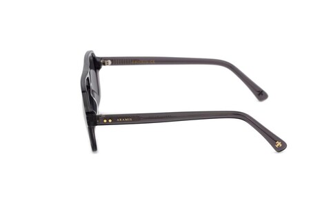 ARAMIS AR 2414 C04 58-14-148 Unısex Güneş Gözlüğü - 3