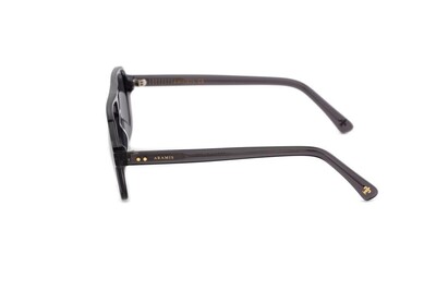ARAMIS AR 2414 C04 58-14-148 Unısex Güneş Gözlüğü - 3