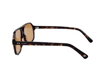 ARAMIS AR 2414 C5 58-14-148 Unisex Güneş Gözlüğü - 3