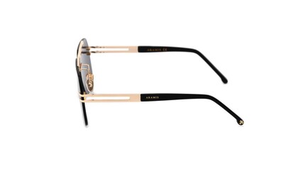 ARAMIS AR 2419 C01 63-11-145 Erkek Güneş Gözlüğü - 3