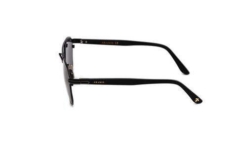 ARAMIS AR 2420 C03 54-21-145 Erkek Güneş Gözüğü - 3