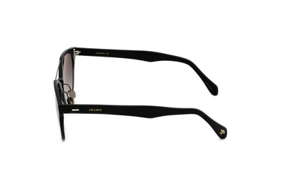 ARAMIS AR 2444 C1 53-23-142 Unısex Güneş Gözlüğü - 3
