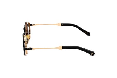 ARAMIS AR 2450 C1 43-27-140 Unısex Güneş Gözlüğü - 3