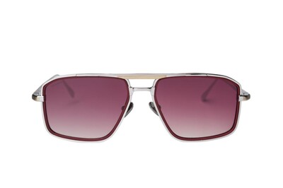 ARAMIS AR 2507 C1 56-17-150 Unisex Güneş Gözlüğü - 1