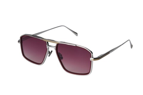ARAMIS AR 2507 C1 56-17-150 Unisex Güneş Gözlüğü - 2
