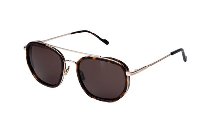 ARAMIS AR 2508 C2 56-20-145 Unisex Güneş Gözlüğü - 2