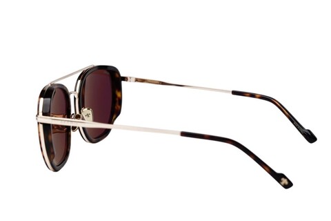 ARAMIS AR 2508 C2 56-20-145 Unisex Güneş Gözlüğü - 3