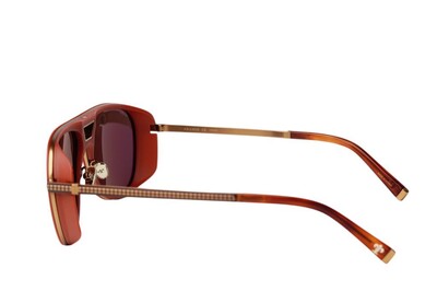 ARAMIS AR 2510 C3 58-16-145 Unisex Güneş Gözlüğü - 3