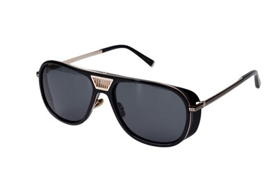 ARAMIS AR 2510 C4 58-16-145 Unisex Güneş Gözlüğü - 2
