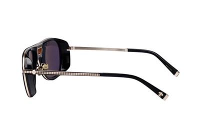 ARAMIS AR 2510 C4 58-16-145 Unisex Güneş Gözlüğü - 3