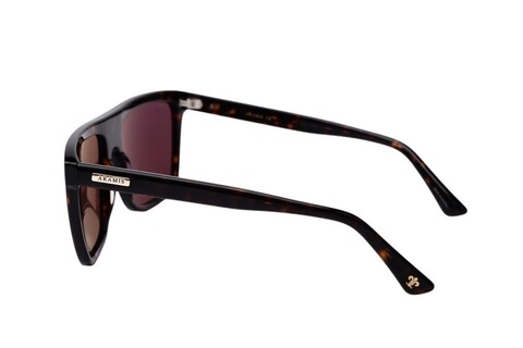 ARAMIS AR 2511 C2 59-17-145 Unisex Güneş Gözlüğü - 3