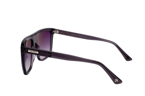ARAMIS AR 2511 C3 59-17-145 Unisex Güneş Gözlüğü - 3