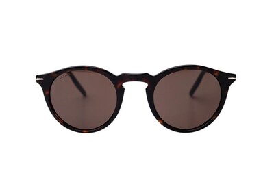 ARAMIS AR 2512 C2 48-23-145 Unisex Güneş Gözlüğü - 1