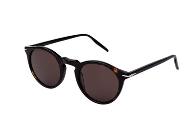 ARAMIS AR 2512 C2 48-23-145 Unisex Güneş Gözlüğü - 2