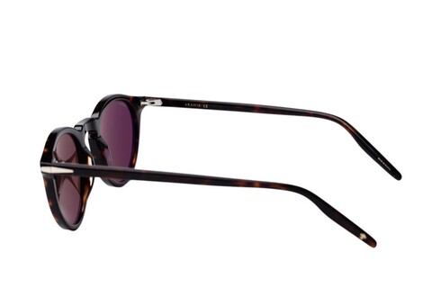 ARAMIS AR 2512 C2 48-23-145 Unisex Güneş Gözlüğü - 3