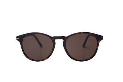 ARAMIS AR 2514 C2 53-19-145 Unisex Güneş Gözlüğü - 1