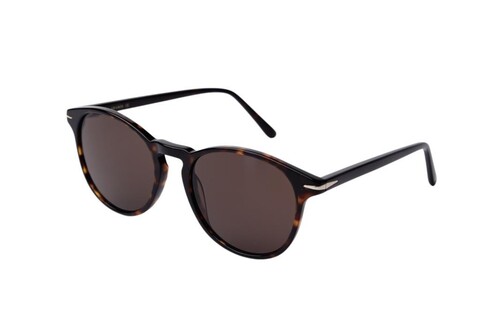 ARAMIS AR 2514 C2 53-19-145 Unisex Güneş Gözlüğü - 2