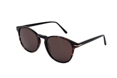 ARAMIS AR 2514 C2 53-19-145 Unisex Güneş Gözlüğü - 2