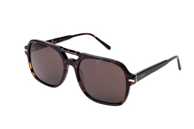 ARAMIS AR 2516 C2 57-18-145 Unisex Güneş Gözlüğü - 2