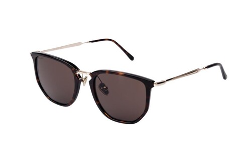ARAMIS AR 2518 C2 53-20-145 Unisex Güneş Gözlüğü - 2