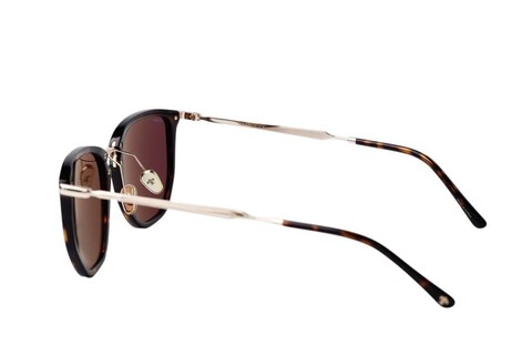 ARAMIS AR 2518 C2 53-20-145 Unisex Güneş Gözlüğü - 3