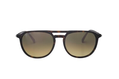 ARAMIS AR 2520 C2 56-18-148 Unisex Güneş Gözlüğü - 1