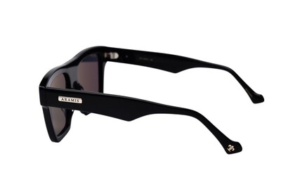 ARAMIS AR 2521 C1 55-17-145 Unisex Güneş Gözlüğü - 3