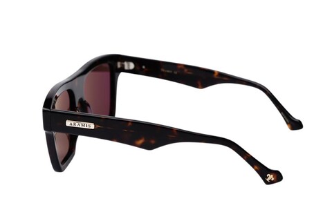 ARAMIS AR 2521 C2 55-17-145 Unisex Güneş Gözlüğü - 3