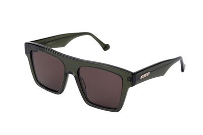 ARAMIS AR 2521 C5 55-17-145 Unisex Güneş Gözlüğü - 2
