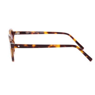 Hollywood Star HS A10 C02 51 UNISEX Güneş Gözlüğü - 3