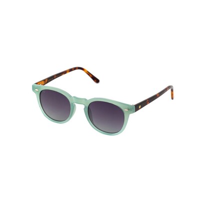 HOLLYWOOD STAR HS A16 C05 49-23-145 Unisex Güneş Gözlüğü - 1