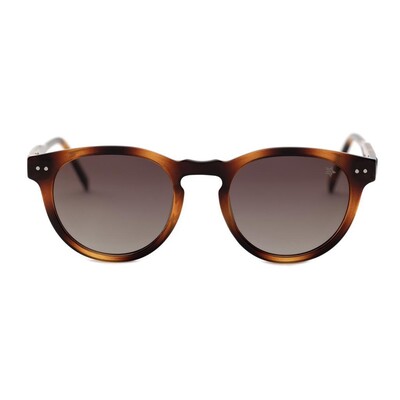 Hollywood Star HS A9 C02 51 UNISEX Güneş Gözlüğü - 2