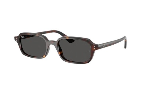RAY-BAN 0RB4455 135987 49 Unisex Güneş Gözlüğü - 1