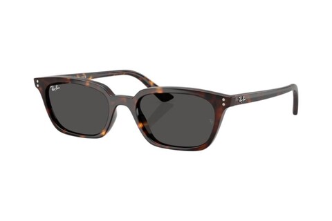 RAY-BAN 0RB4456 135987 50 Unisex Güneş Gözlüğü - 1