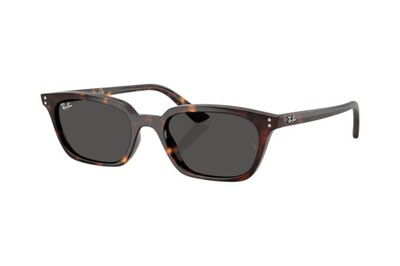 RAY-BAN 0RB4456 135987 50 Unisex Güneş Gözlüğü - 1